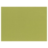 100 Tovagliette di carta 30 cm x 40 cm verde oliva