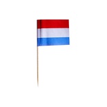 500 Stecchini per party 8 cm ''Netherlands''