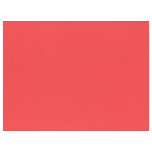 100 Tovagliette di carta 30 cm x 40 cm rosso