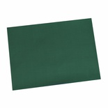 100 Tovagliette di carta 30 cm x 40 cm verde