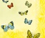 20 Tovaglioli cm 33x33, 3-veli, piega  1/4, decoro ''Papillons''