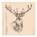 20 Tovaglioli, 3-veli piegato per 4 33 c m x 33 cm naturale "Colourful Deer" aus