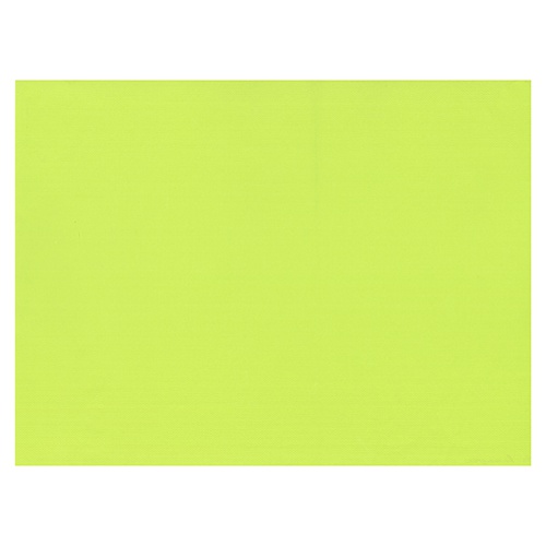 100 Tovagliette di carta 30 cm x 40 cm verde limone