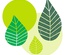20 Tovaglioli, 3-veli piegato per 4 40 c m x 40 cm verde "Graphic Leaves"